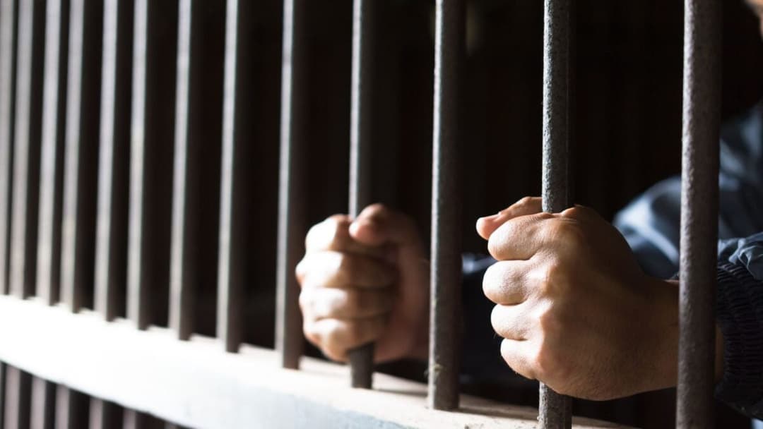 Scientists Find Intriguing Link Between Ozempic and Violent Behavior - Gizmodo