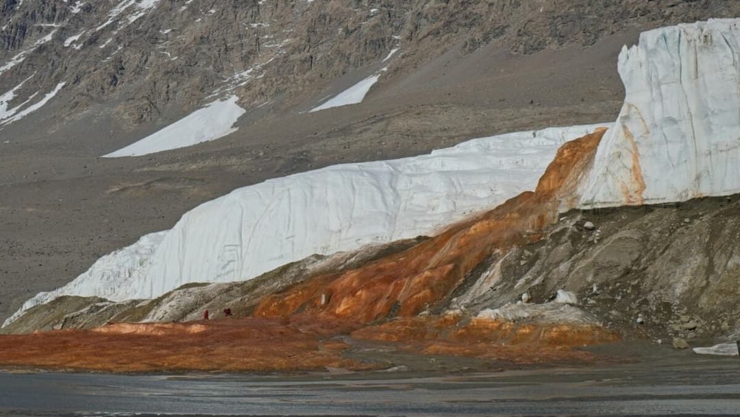 Ancient Life Discovered in Antarctica’s ‘Blood Falls’ May Finally Reveal Its Origins - Gizmodo