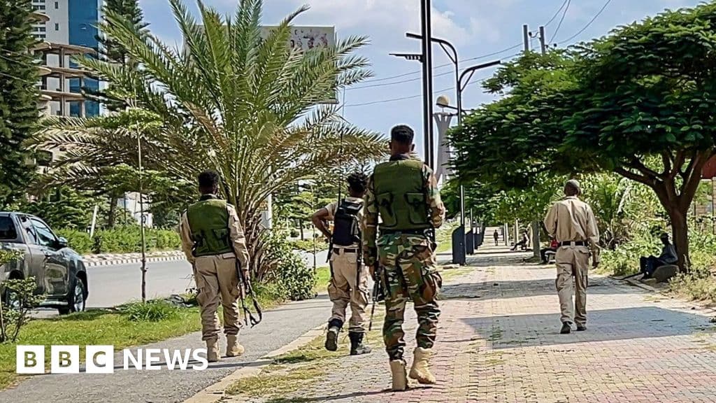 Ethiopia and Tigray accuse each of launching offensives, fuelling fears of new war - BBC