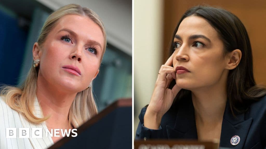 Leavitt and Ocasio-Cortez spark conversation on challenges of family and career - BBC