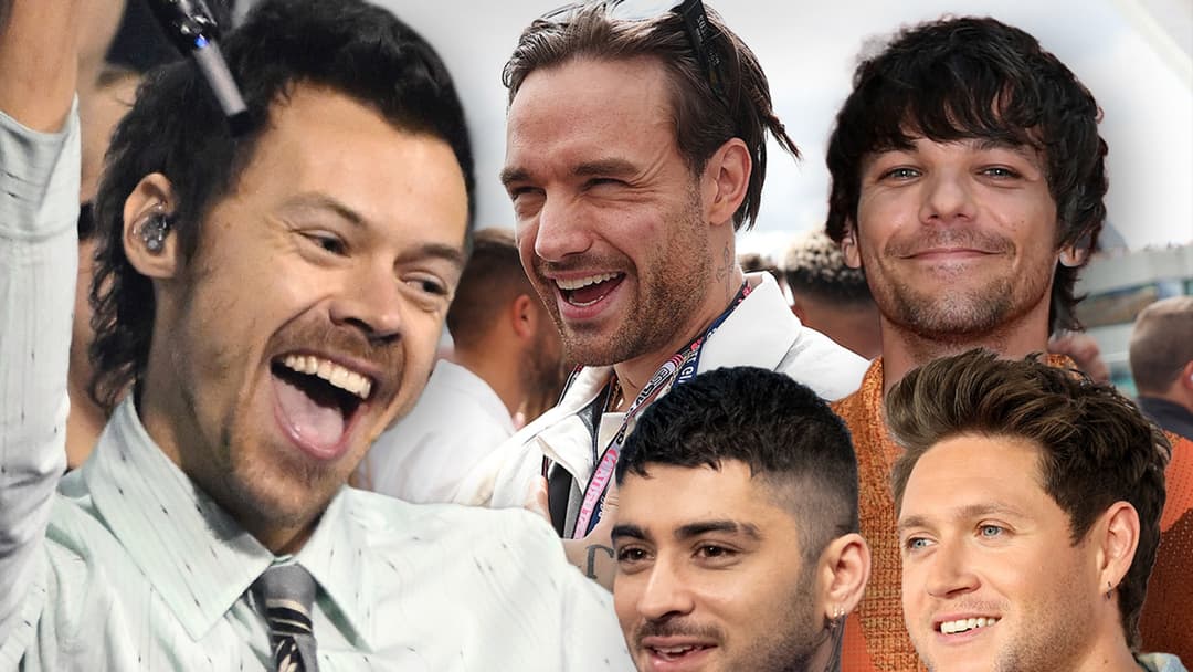 Harry Styles Honors One Direction Bandmates During Final Wembley Show - TMZ