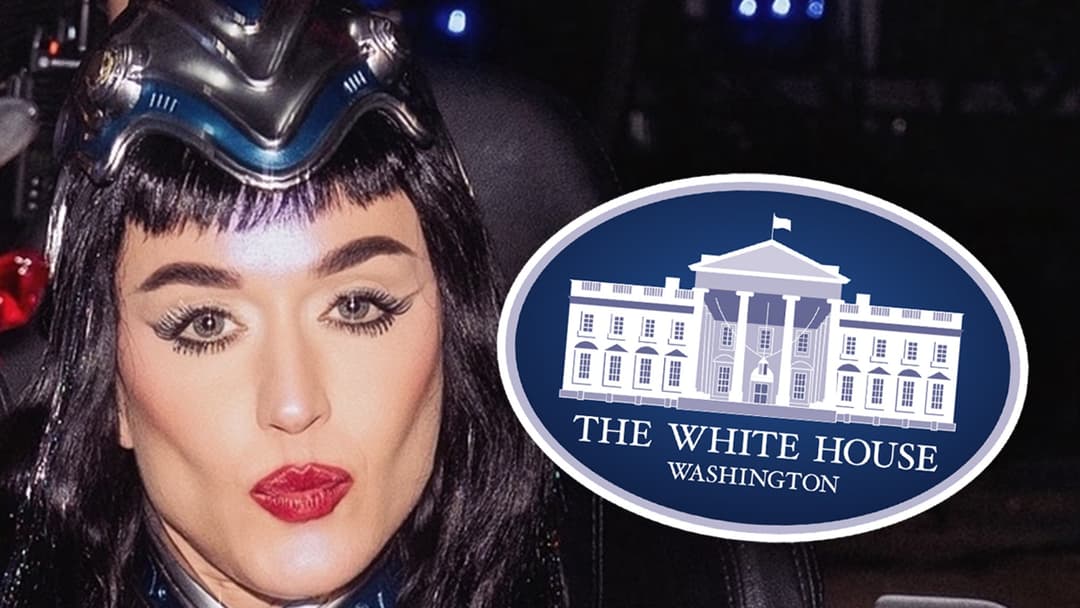 Katy Perry Erupts on Trump Administration for Using 'Firework' in Military Video - TMZ