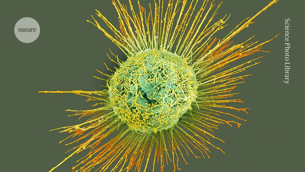 Flu season could kick off ‘incredibly’ early — what scientists are watching - Nature