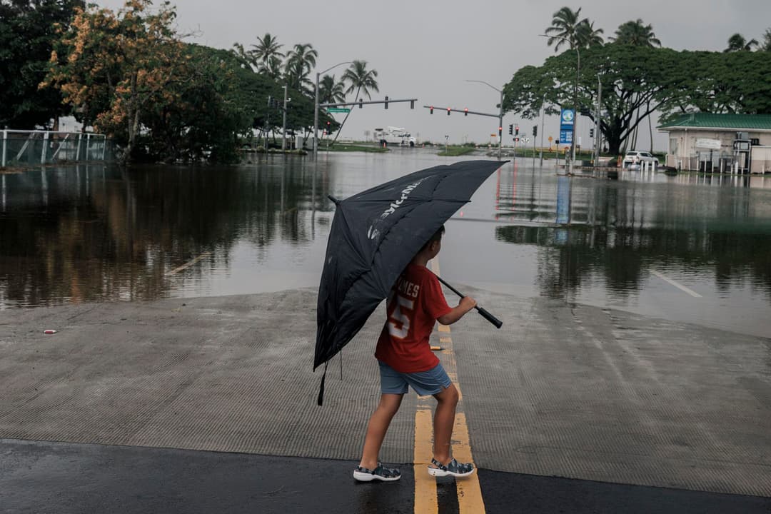 Hurricane Lala cuts power to thousands in Hawaii — rural outages could last months - San Francisco Chronicle