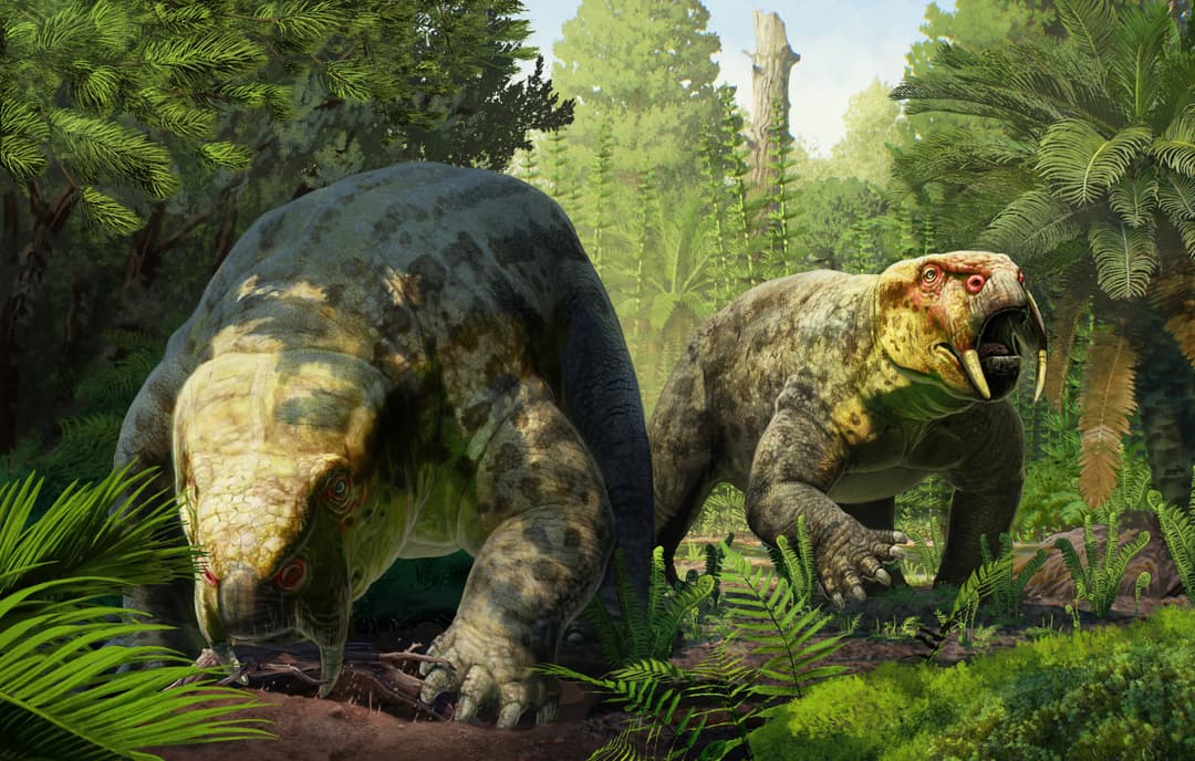 New species of 240-million-year-old prehistoric animal could reshape dinosaur origins timeline - Phys.org