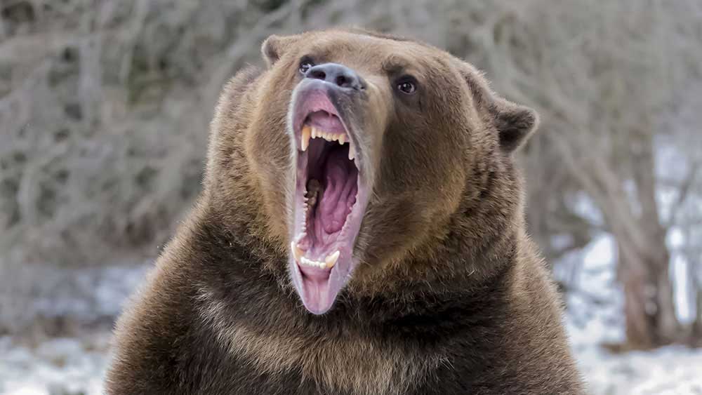 Stocks Dive, Oil Hits $100; What To Do Now - Investor's Business Daily