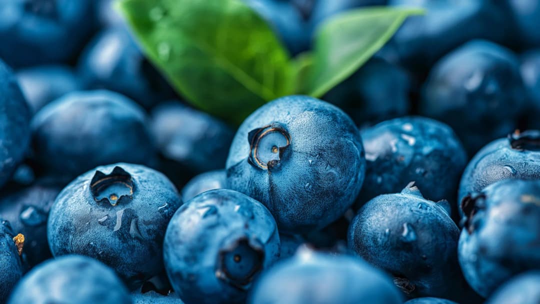 Eating blueberries every day may have a surprising effect on your mood - Science Daily