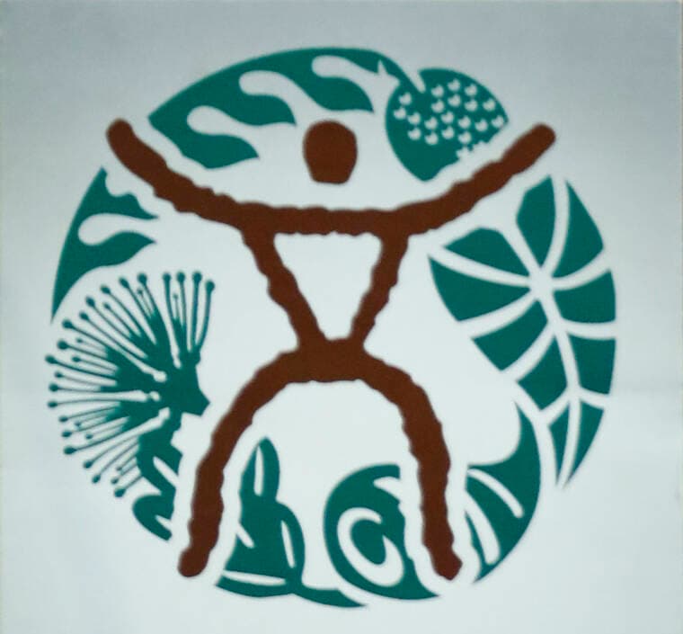 Health officials confirm measles case in visitor to Hawaii - Honolulu Star-Advertiser