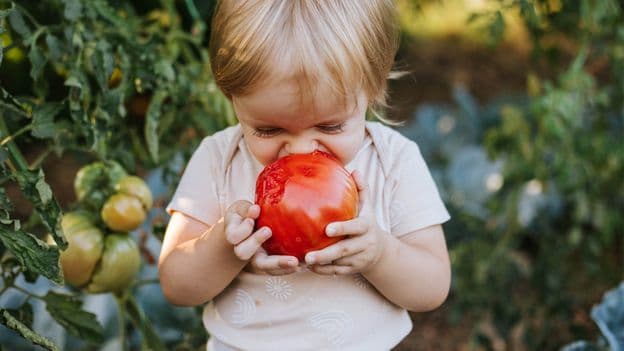 Don't pressure them: Six science-backed ways to get fussy children to eat vegetables - BBC